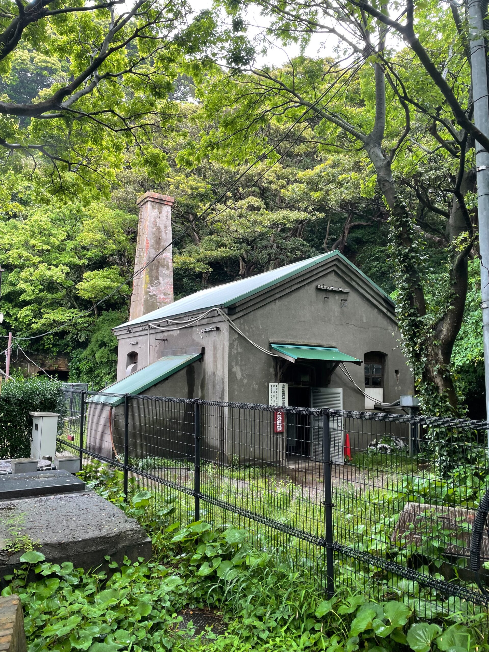 2022/5/7:猿島（神奈川県横須賀市）