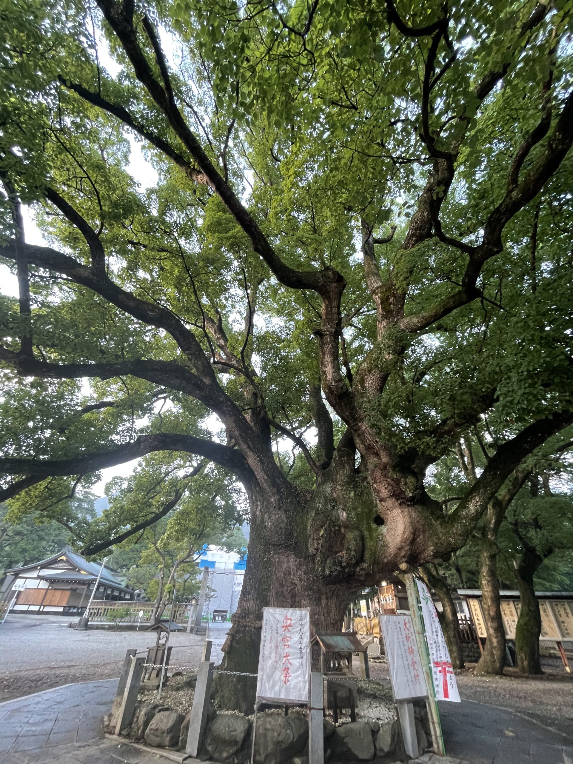 2022 8/15 大麻比古神社　徳島県明神町